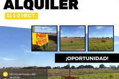 HECTAREAS Z/ PROTOMEDICO